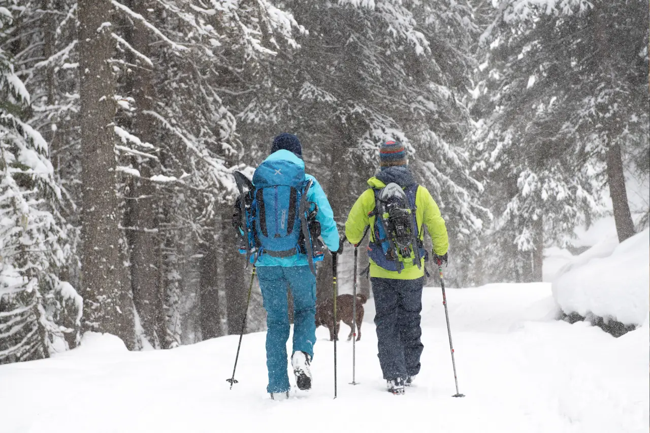 Chi Siamo Vedig Santa Caterina